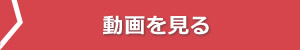 動画を見る